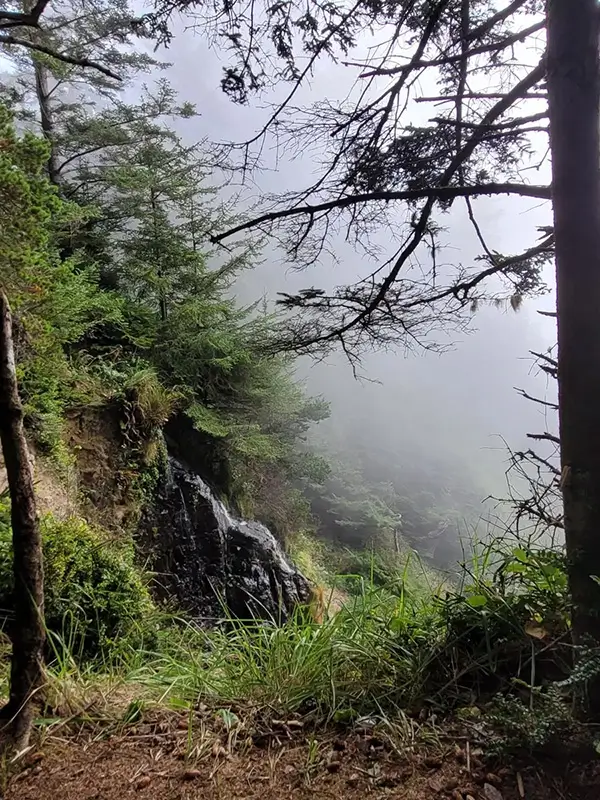 Misty waterfall in a Humboldt and Del Norte County redwood forest.