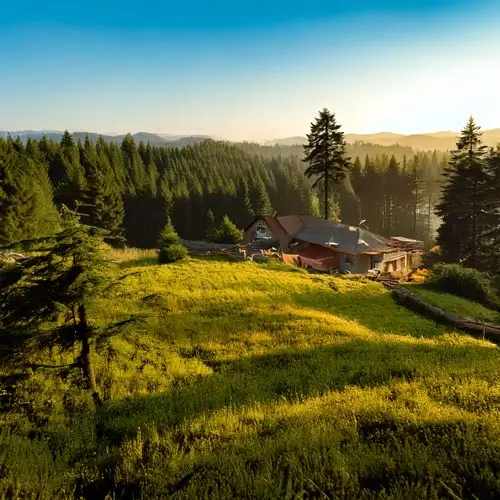 Aerial view of a rural property in a forest clearing